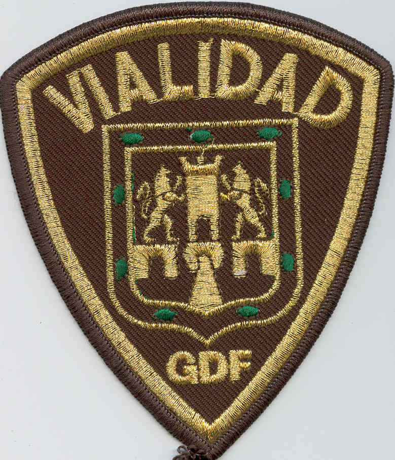 Vialidad GDF.jpg